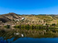 Rückblick über Hügel, Weinberge und Quinta da Boavista